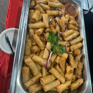 Vegetarian Spring Roll