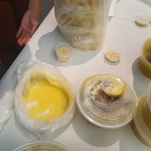 鲜鱼酸辣汤泡饭 	Sliced Fish Spicy Soup Pao Fan