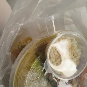 海鲜酸辣汤泡饭 	Seafood Spicy Soup Pao Fan