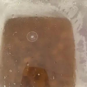 Chilled Cheng Tng with Snow Fungus and Longan