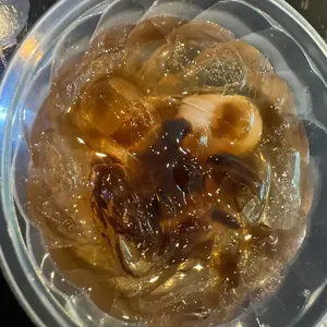 Chin Chow w Longan