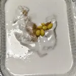 Yam Paste w Gingko Nuts