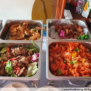 Signature Teochew Braised Duck 招牌潮州卤鸭