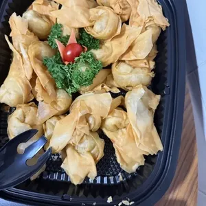 Butterfly shrimp wanton 蝴蝶虾云吞