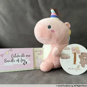 Joyous Gift (Colours: Pink) (Format: Physical Voucher) (Design: Baby Full Month/ 100 Days)