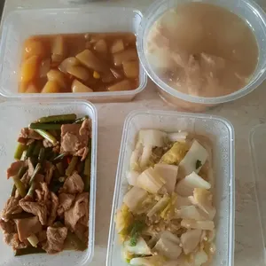 Tingkat Menu (20 Days) in Microwavable Container