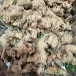 Golden Salted Egg Fish w Crispy Fish Skin