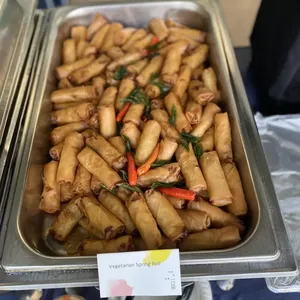 Vegetarian Spring Roll