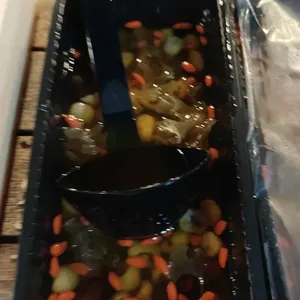Chilled snow fungus w/red dates and longan