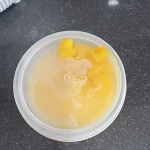 Mango Pudding