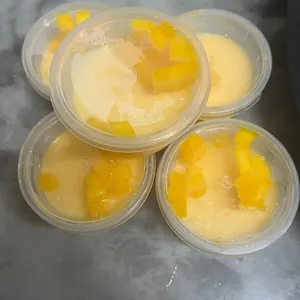 Mango Pudding