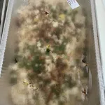 Oriental Fried Rice