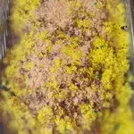 Thai Pineapple Rice 泰式黄梨饭