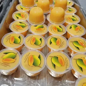Mango Pudding 芒果布丁
