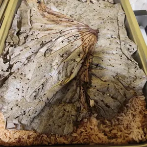 Oriental Style Brown Rice in Lotus Leaf