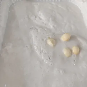 Yam Paste Gingko Nuts