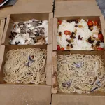 Pasta - Cream Sauce