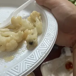 Lo Han Chye