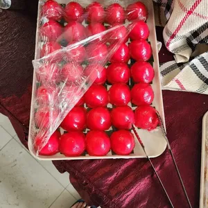 Happiness Ang Ku Kueh (Sharp – Boy)