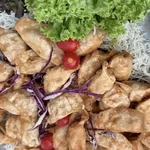 Crispy Gyoza Dumplings