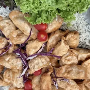 Crispy Gyoza Dumplings