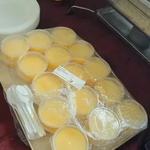 Mango Pudding