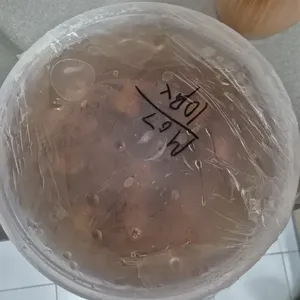 Sea Coconut with Longan