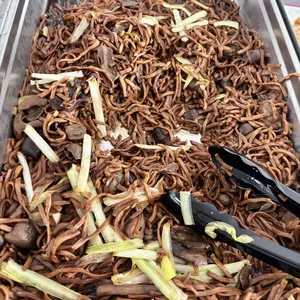 Ee Fu Noodles