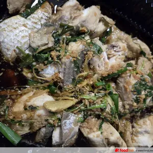 Hong Kong Style Steamed Seabass Fillet