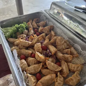 Crispy Gyoza Dumplings