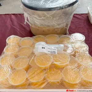 Mango Pudding