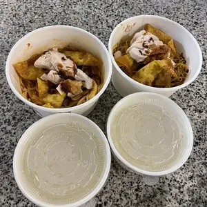 Wanton Char Siew Chicken Noodle (Option B: Mee Kia) (Option C: None) (Option D: None) (Hum Wanton: Extra Chilli)