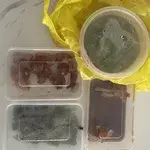 Tingkat Menu (10 Days Trial)