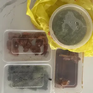Tingkat Menu (10 Days Trial)