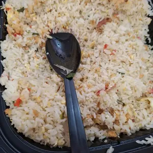 Yong Chow Fried Rice 扬州炒饭
