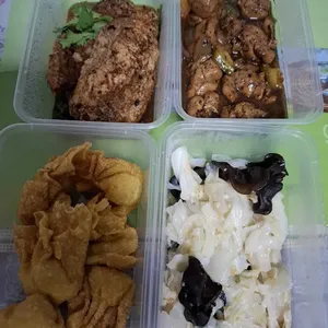 Tingkat Menu (20 Days) in Microwavable Container