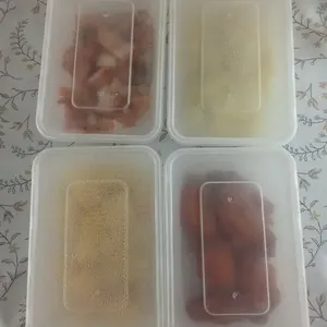 Tingkat Menu (20 Days) in Microwavable Container