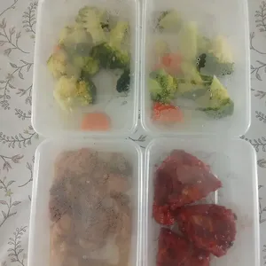 Tingkat Menu (20 Days) in Microwavable Container