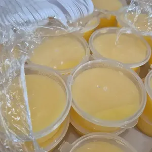 Mango Pudding