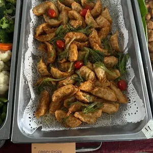 Crispy Gyoza Dumplings