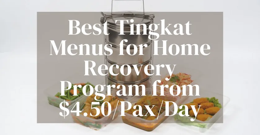 Best Tingkat Menus for Home Recovery Program from $4.50/Pax/Day