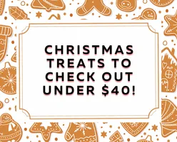 Christmas Treats To Check Out Under $40!