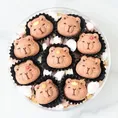 9pcs Capybara Pineapple Tart