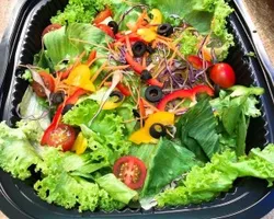 Rainbow Garden Salad | Customer Photo | Rilassi Catering